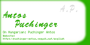 antos puchinger business card